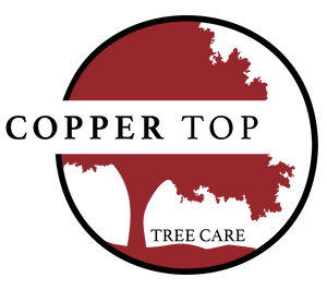 Copper Top Tree Care logo